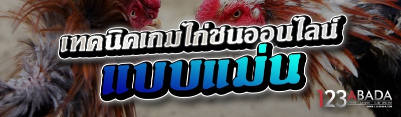 เทคนิคเกมไก่ชนออนไลน์ แบบแม่น 
